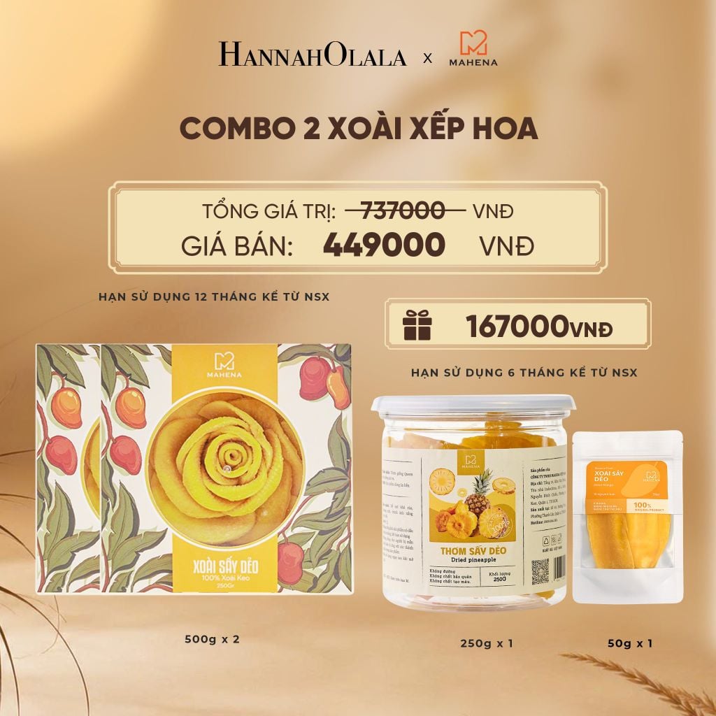  COMBO 2 XOÀI XẾP HOA 500G TẶNG 1 THƠM SẤY DẺO VÀ 1 XOÀI SẤY DỂO 50G DEAL 11: - E142 