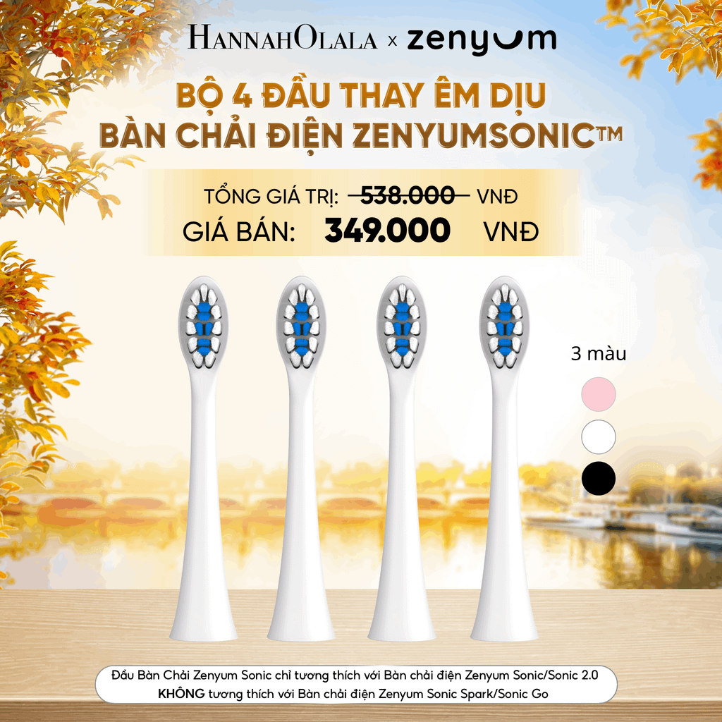  BỘ 4 ĐẦU BÀN CHẢI ZENYUM SONIC PHIÊN BẢN ÊM DỊU - E1590 