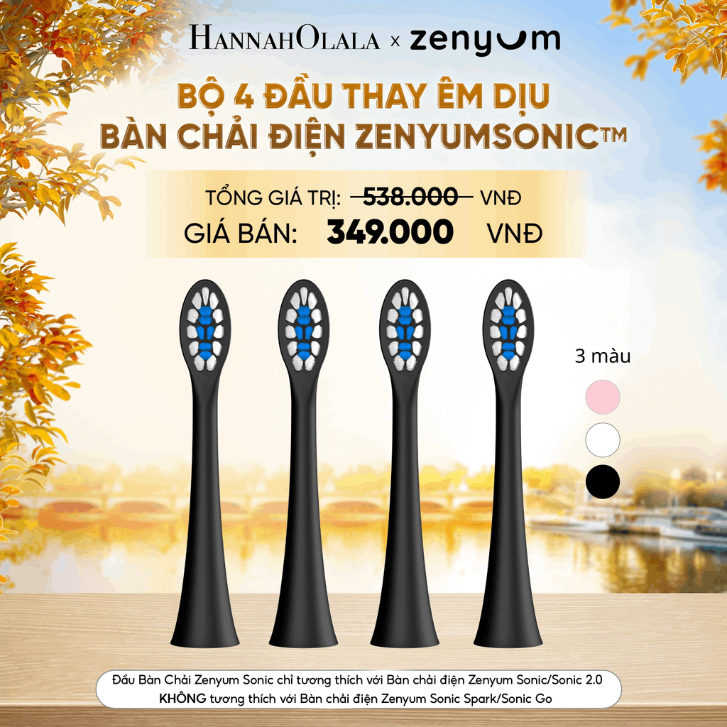  BỘ 4 ĐẦU BÀN CHẢI ZENYUM SONIC PHIÊN BẢN ÊM DỊU - E1590 