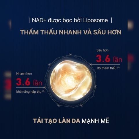  BỘ TINH CHẤT TĂNG CƯỜNG NGỪA LÃO HÓA CHUYÊN SÂU THE WHOO BICHUP ULTIMATE RECOVERY NAD POWER AMPOULE 50ML SPECIAL SET - A77 