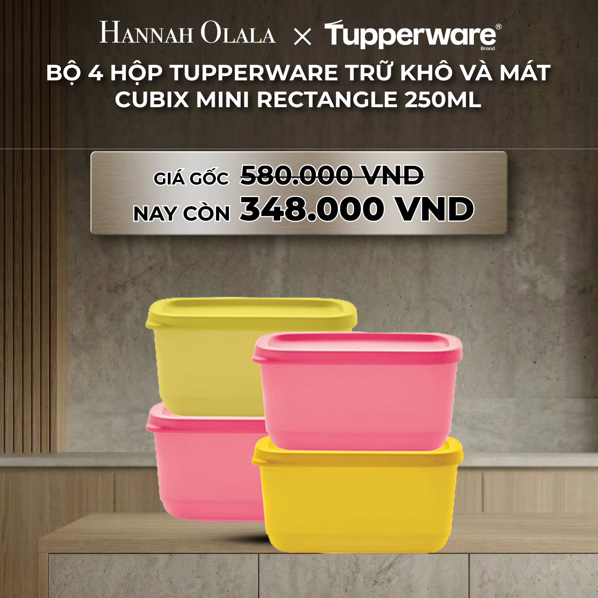 B45_deal 35 : bộ 4 hộp tupperware trữ khô và mát cubix mini rectangle 250ml