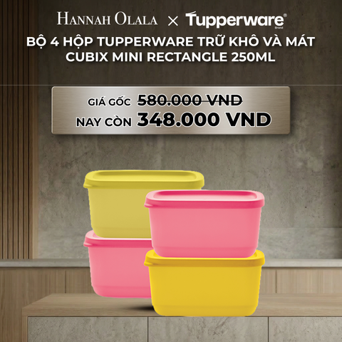  B45_DEAL 35 : BỘ 4 HỘP TUPPERWARE TRỮ KHÔ VÀ MÁT CUBIX MINI RECTANGLE 250ML 