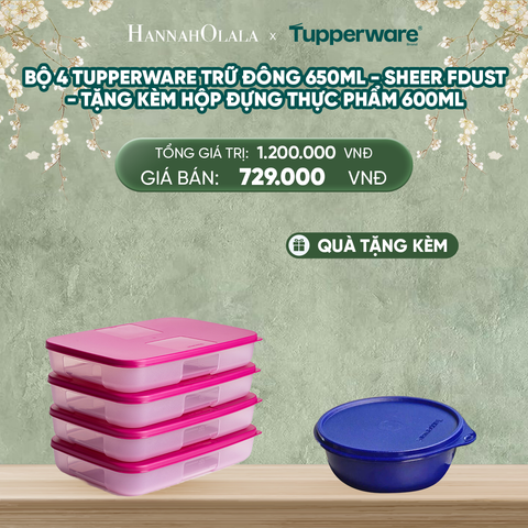  DEAL 7: BỘ 4 TUPPERWARE TRỮ ĐÔNG 650ML - SHEER FDUST - TẶNG KÈM HỘP ĐỰNG THỰC PHẨM 600ML 