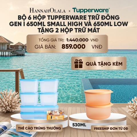  BỘ 6 HỘP ĐỰNG THỰC PHẨM TUPPERWARE TRỮ ĐÔNG GEN I 650ML SMALL HIGH VÀ 650ML LOW TẶNG 2 HỘP TRỮ MÁT_ D932 