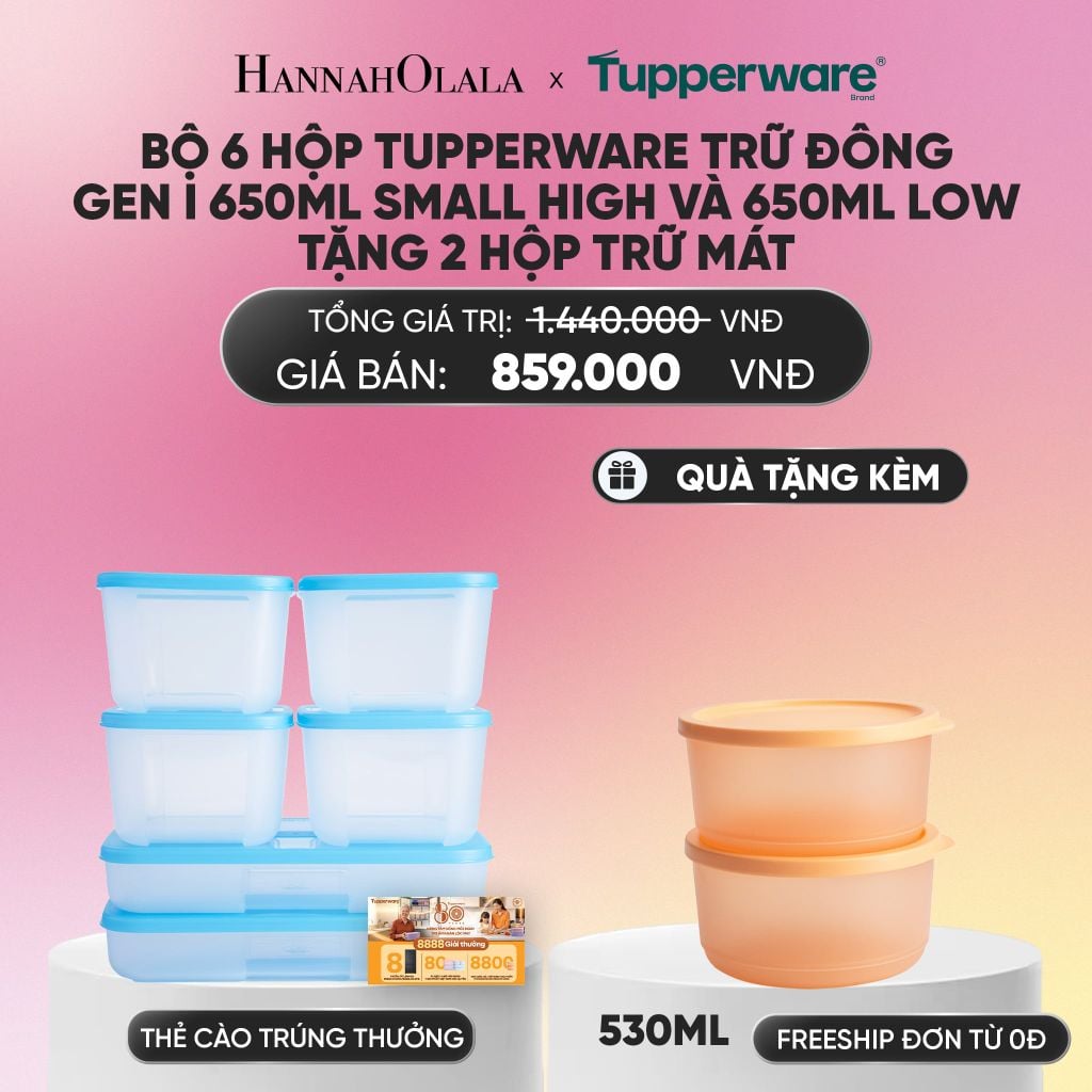  BỘ 6 HỘP ĐỰNG THỰC PHẨM TUPPERWARE TRỮ ĐÔNG GEN I 650ML SMALL HIGH VÀ 650ML LOW TẶNG 2 HỘP TRỮ MÁT_A298 