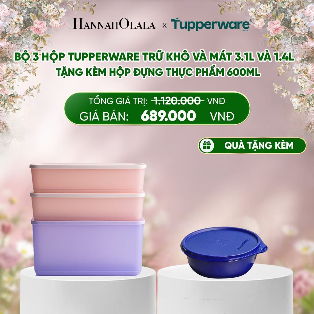  E226_DEAL 36 : BỘ 3 HỘP TUPPERWARE TRỮ KHÔ VÀ MÁT 3.1L VÀ 1.4L - TẶNG KÈM HỘP ĐỰNG THỰC PHẨM 600ML 