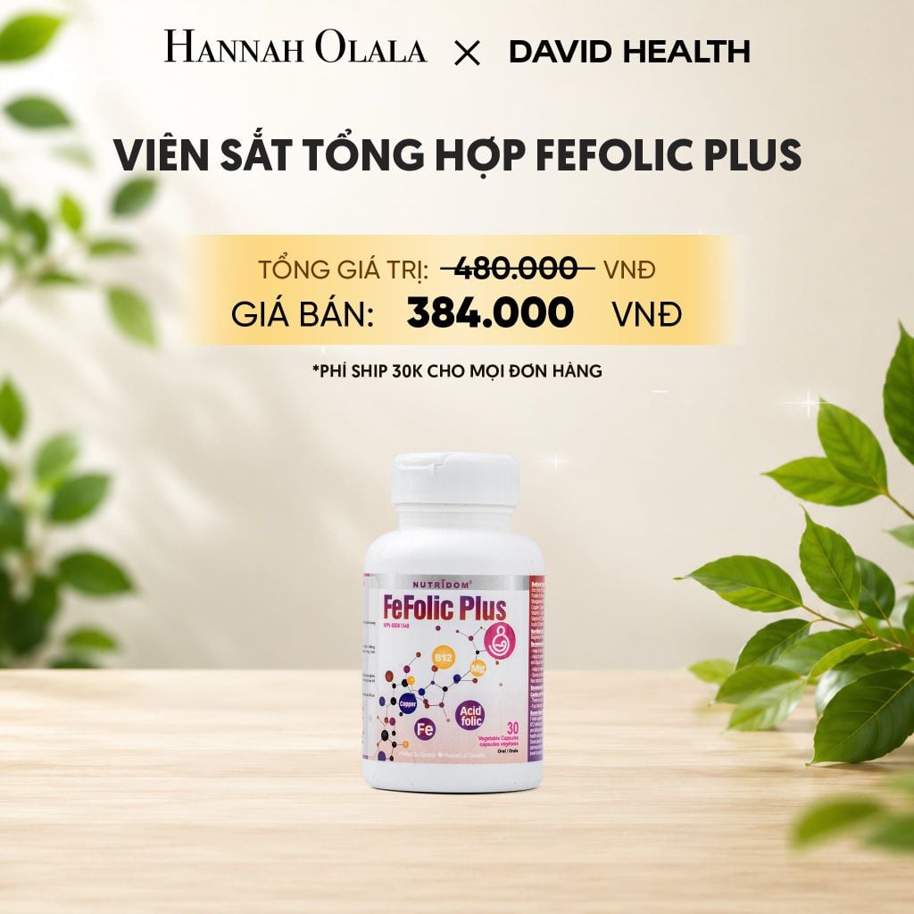  SẮT TỔNG HỢP FEFOLIC PLUS DAVID HEALTH (30 VIÊN) 