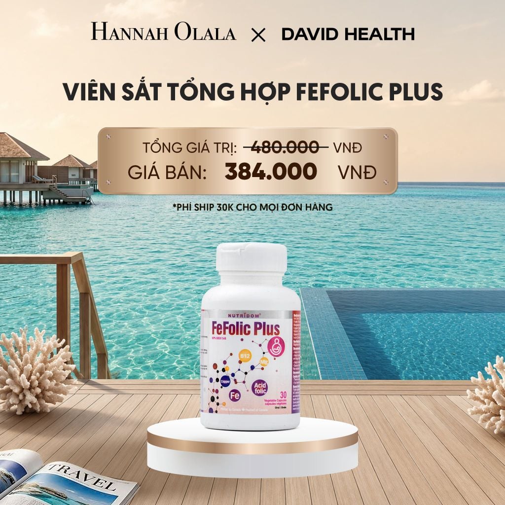  SẮT TỔNG HỢP FEFOLIC PLUS (30 VIÊN)_ D173 