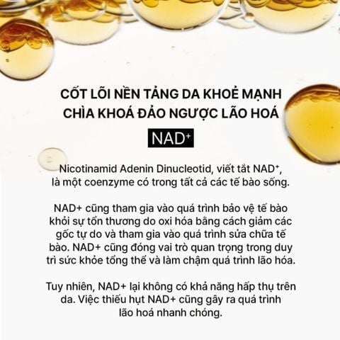  TINH CHẤT TỰ SINH NGỪA LÃO HÓA THẾ HỆ THỨ 4 THE WHOO BICHUP ULTIMATE RECOVERY YOUTH SERUM 50ML - A95 