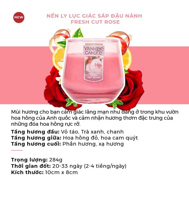  4 NẾN LY LỤC GIÁC SÁP ĐẬU NÀNH YANKEE CANDLE DEAL 7: - A2218 