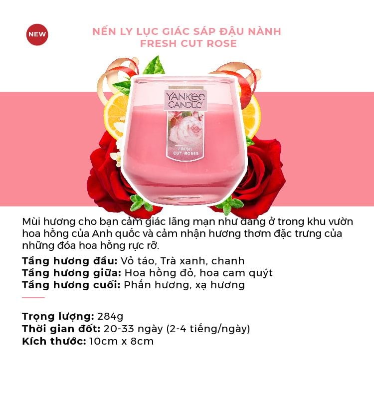  4 NẾN LY LỤC GIÁC SÁP ĐẬU NÀNH YANKEE CANDLE DEAL 7: - A890 