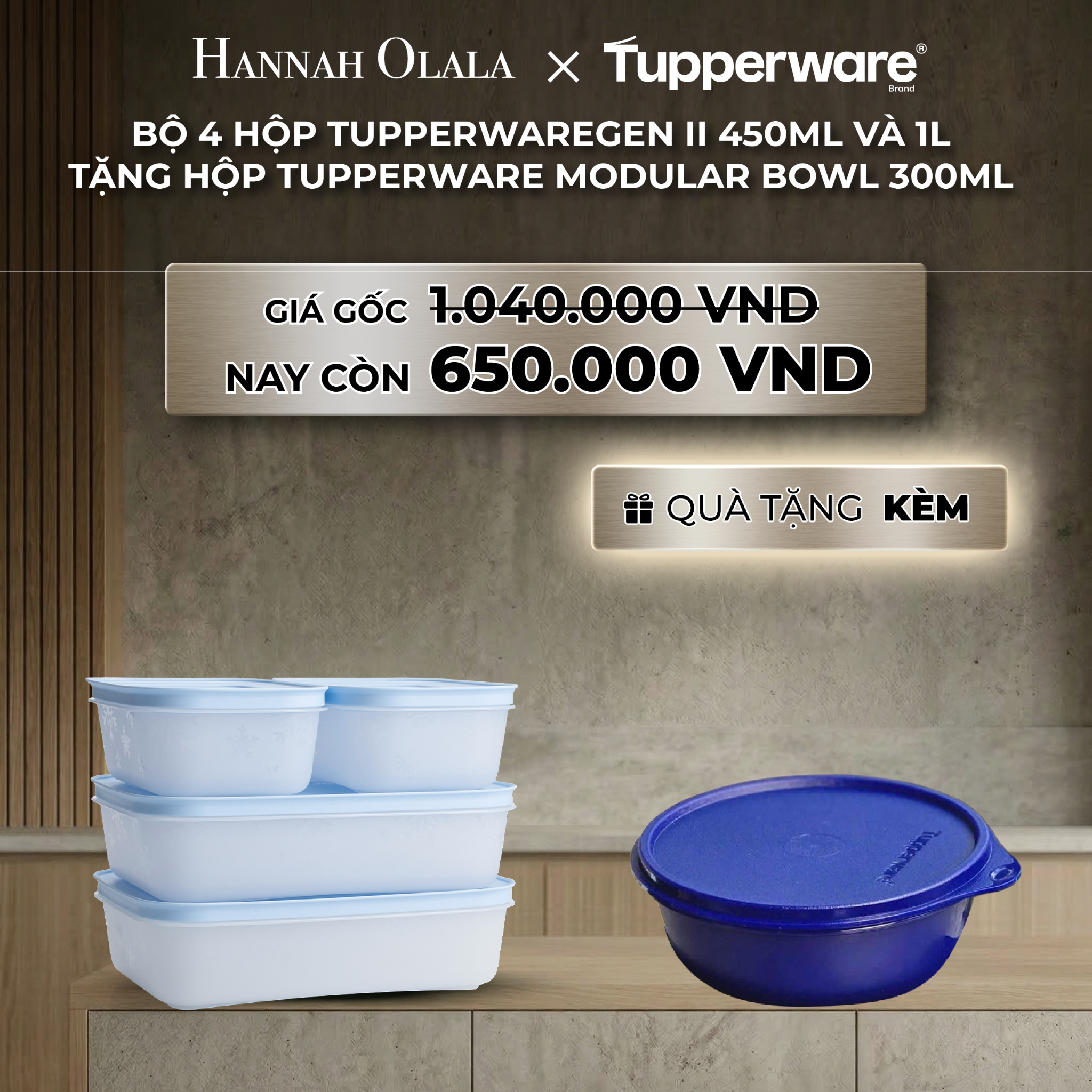 Bộ 4 Hộp Đựng Thực Phẩm Tupperware Trữ Đông Gen II 450ml và 1L