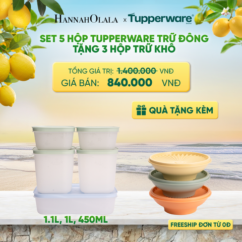  SET 5 HỘP TUPPERWARE TRỮ ĐÔNG TẶNG 3 HỘP TRỮ KHÔ - DEAL 3 - A2445 