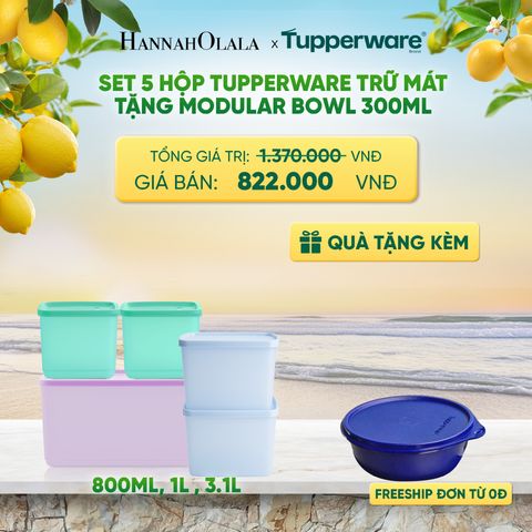  SET 5 HỘP TUPPERWARE TRỮ MÁT TẶNG MODULAR BOWL 300ML - DEAL 9 - A2434 