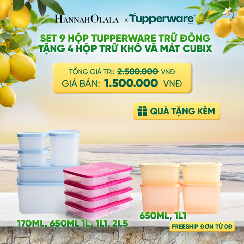  SET 9 HỘP TUPPERWARE TRỮ ĐÔNG TẶNG 4 HỘP TRỮ KHÔ VÀ MÁT CUBIX - DEAL 10 - A2435 