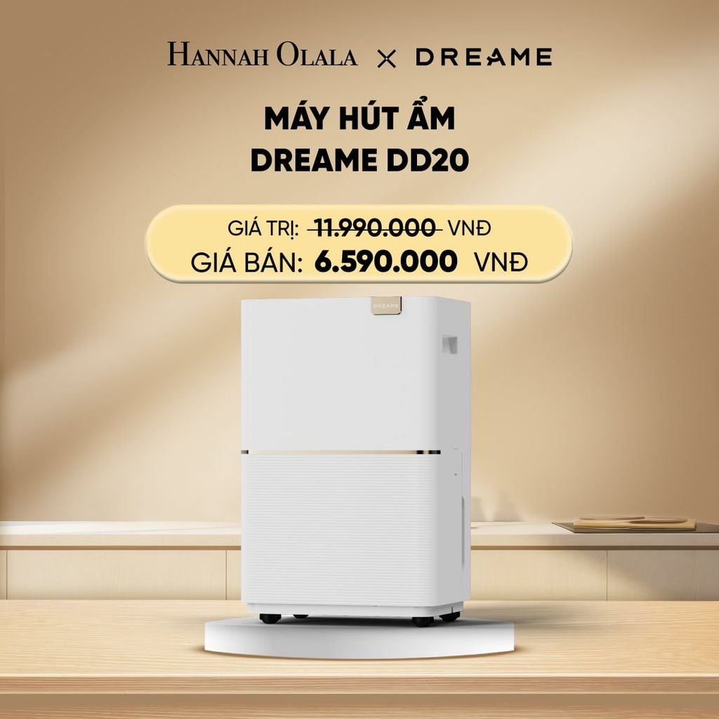  C274_DEAL 21: MÁY HÚT ẤM DREAME DD20 