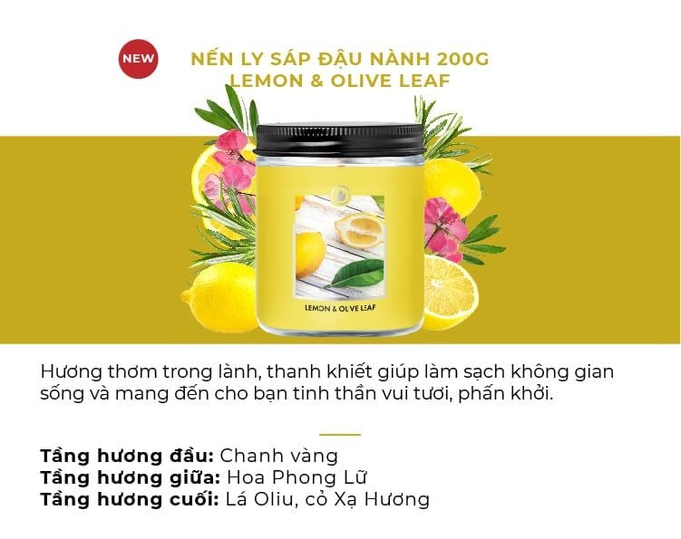  DEAL 3: MUA NẾN GOOSE CREEK SÁP ĐẬU NÀNH 200G GIÁ 499.000Đ MUA 1 TẶNG 1
(CHỌN THÊM MÙI NOTE TRONG GHI CHÚ) 