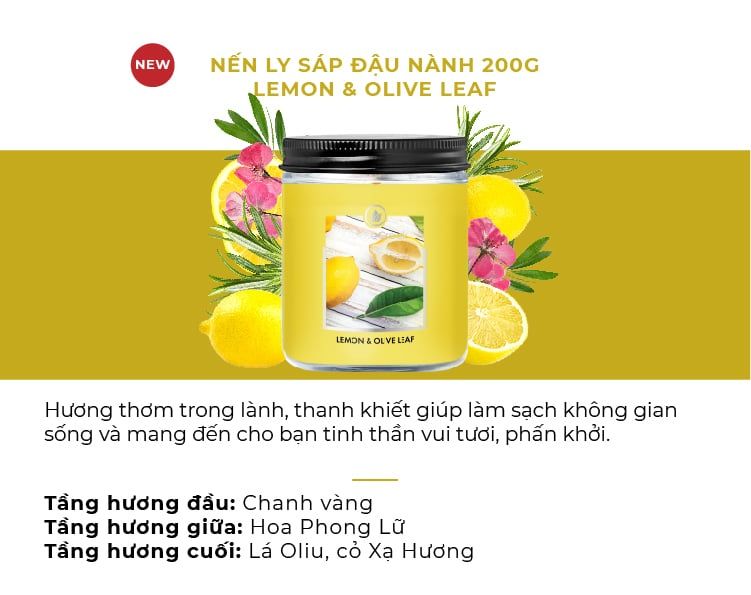  E571: DEAL 3: NẾN GOOSE CREEK SÁP ĐẬU NÀNH 200G 