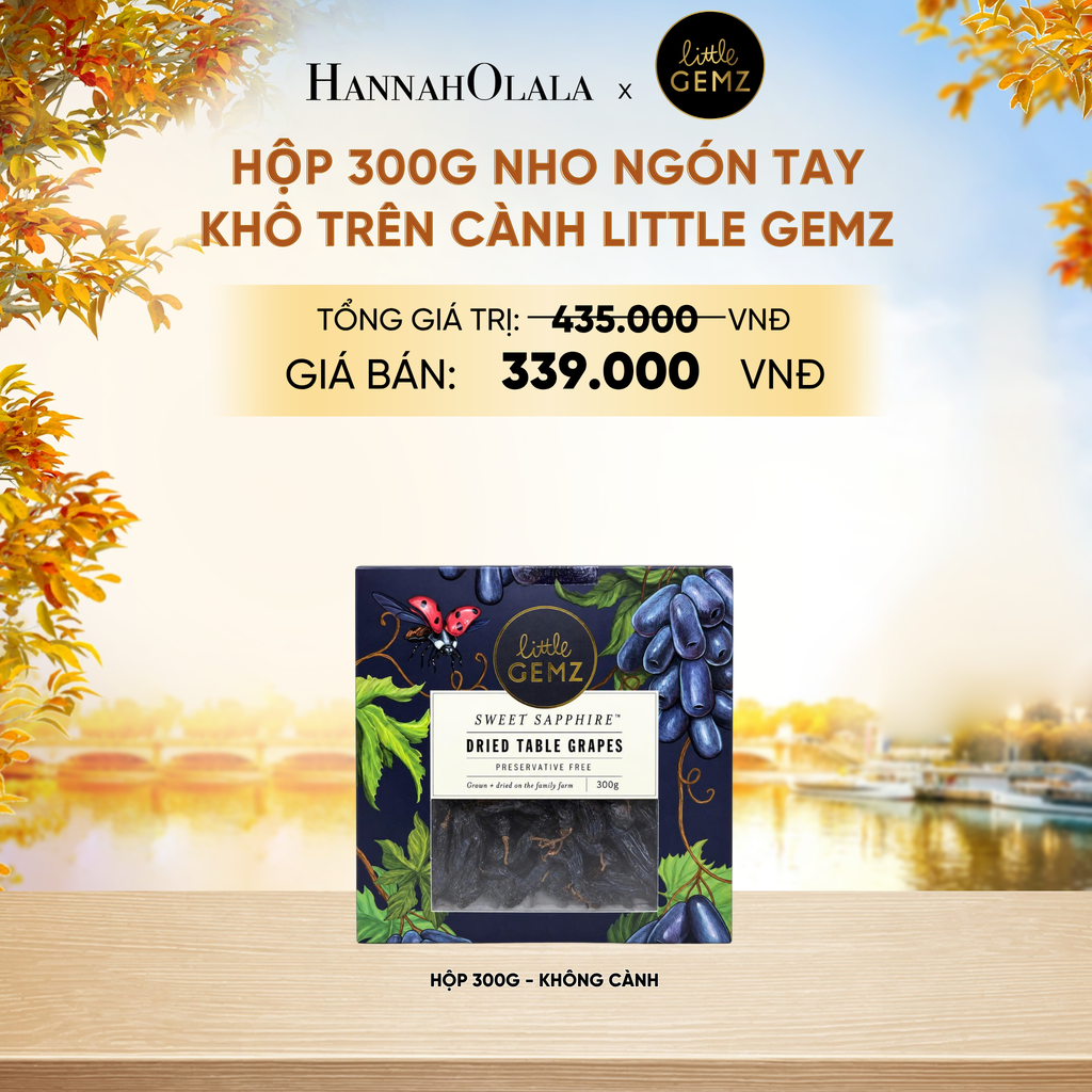  NHO NGÓN TAY KHÔ TRÊN CÀNH LITTLE GEMZ SWEET SAPPHIRE DRIED TABLE GRAPES CLUSTERS HỘP 300G (KHÔNG CÀNH) - DEAL 5 - E1152 
