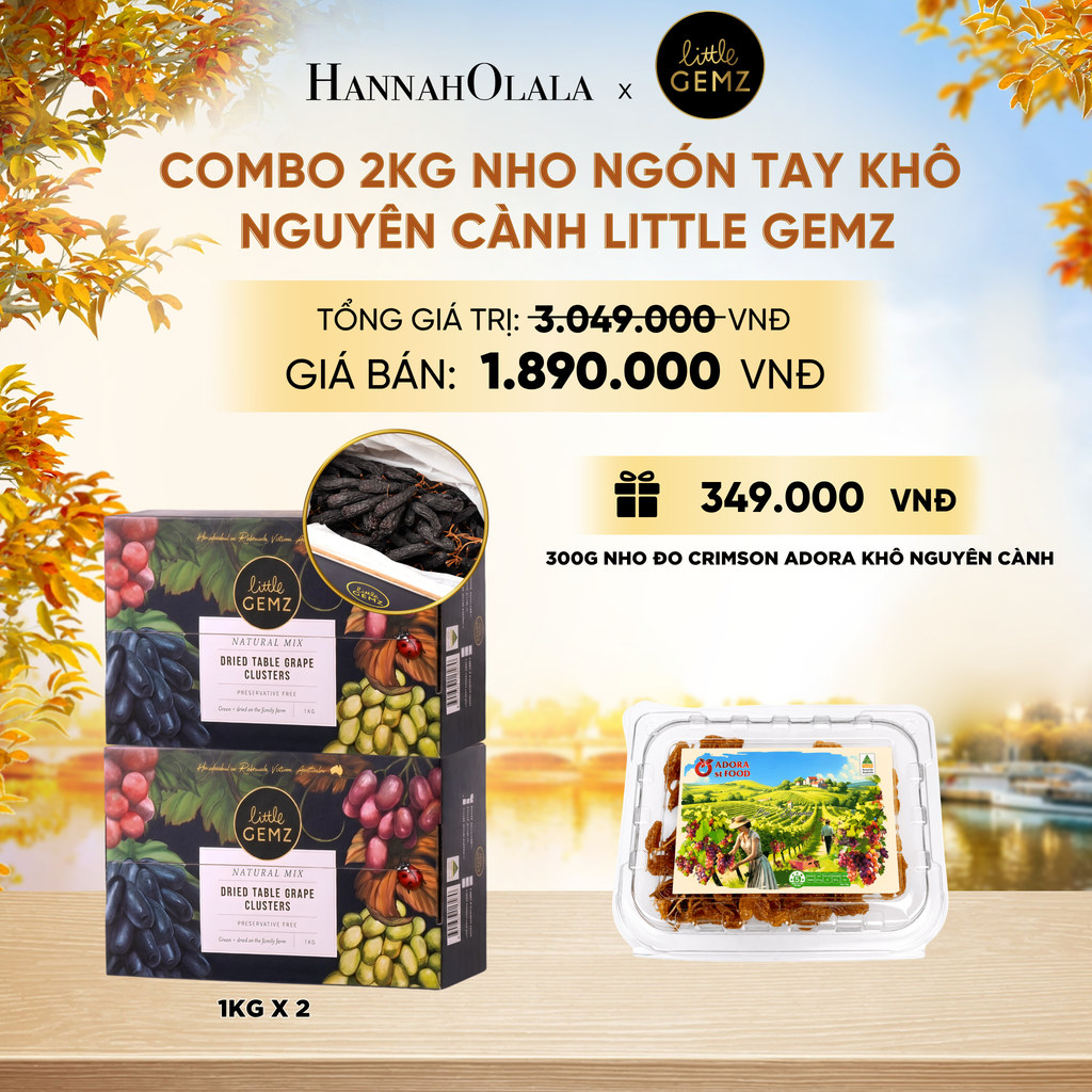  COMBO 02 HỘP NHO NGÓN TAY KHÔ NGUYÊN CÀNH LITTLE GEMZ SWEET SAPPHIRE DRIED TABLE GRAPES CLUSTERS HỘP 1KG - DEAL 7 - E1154 