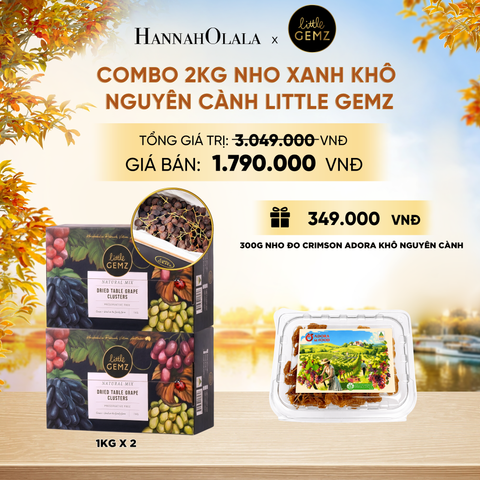  COMBO 02 HỘP NHO XANH KHÔ NGUYÊN CÀNH LITTLE GEMZ SWEET GLOBE TABLE GRAPE CLUSTERS HỘP 1KG - DEAL 8 - E1155 