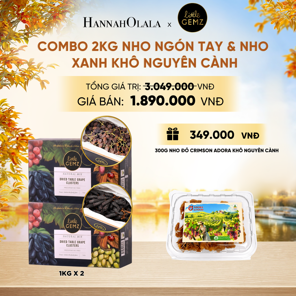  COMBO 02 HỘP NHO NGÓN TAY & NHO XANH KHÔ NGUYÊN CÀNH LITTLE GEMZ SWEET SAPPHIRE & SWEET GLOBE DRIED TABLE GRAPES CLUSTERS 1KG/HỘP - DEAL 9 - E1156 