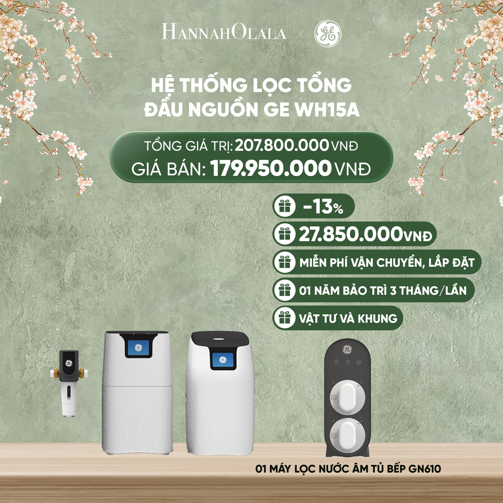  DEAL 6: HỆ THỐNG LỌC TỔNG ĐẦU NGUỒN GE WH15A 