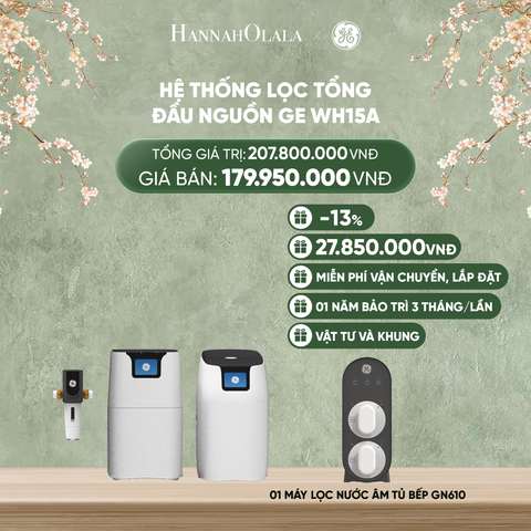  DEAL 6: HỆ THỐNG LỌC TỔNG ĐẦU NGUỒN GE WH15A 
