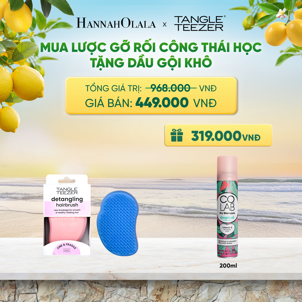  LƯỢC CHẢI GỠ RỐI TÓC ƯỚT CÔNG THÁI HỌC MÀU XANH CORAL TẶNG DẦU GỘI KHÔ COLAB HƯƠNG TRÁI CÂY NHIỆT ĐỚI (KHÔNG ĐỂ LẠI VỆ TRẮNG, SẠCH TÓC TỨC THÌ) 