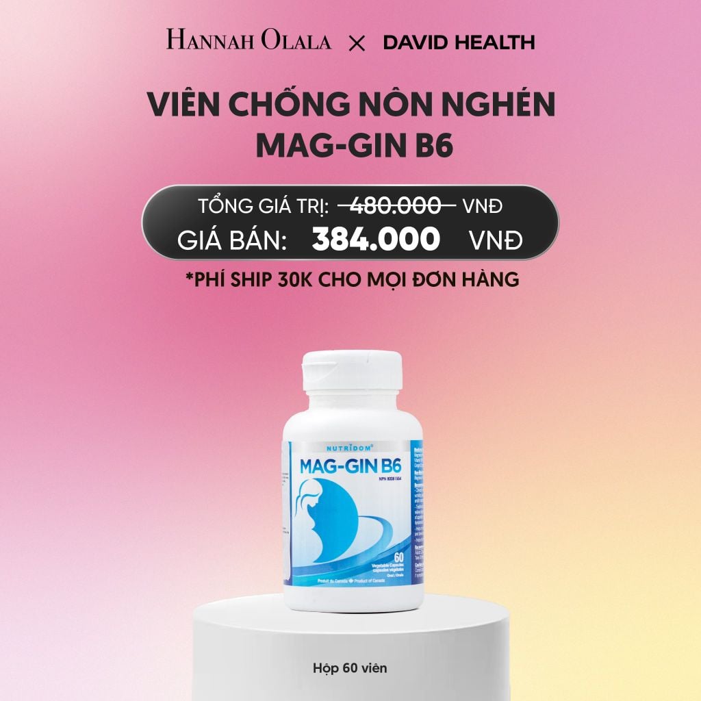  VIÊN CHỐNG NÔN NGHÉN MAG-GIN B6 (60 VIÊN)_A1869 