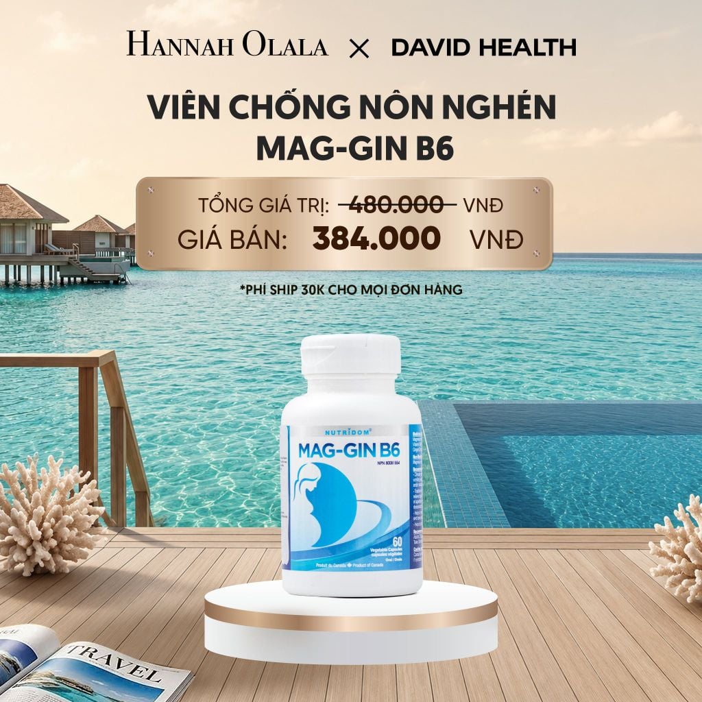  VIÊN CHỐNG NÔN NGHÉN MAG-GIN B6 (60 VIÊN)_ D126 