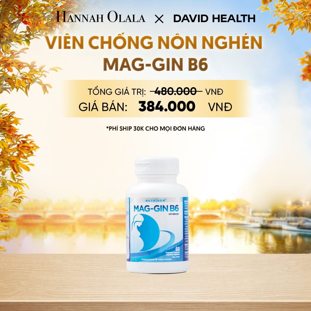 VIÊN CHỐNG NÔN NGHÉN MAG-GIN B6 (60 VIÊN) - DEAL 10 - E1139 