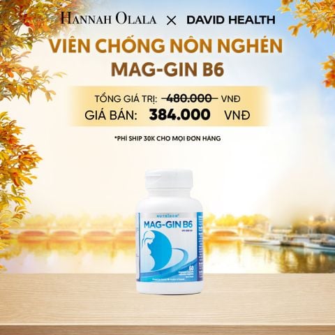  VIÊN CHỐNG NÔN NGHÉN MAG-GIN B6 (60 VIÊN) - DEAL 10 - E1139 