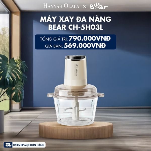  MÁY XAY ĐA NĂNG BEAR CH-5H03L - H200 