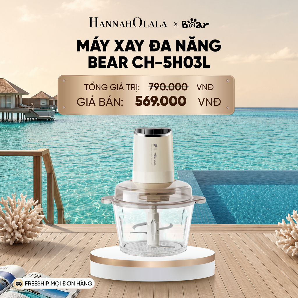  MÁY XAY ĐA NĂNG BEAR CH-5H03L_ D781 