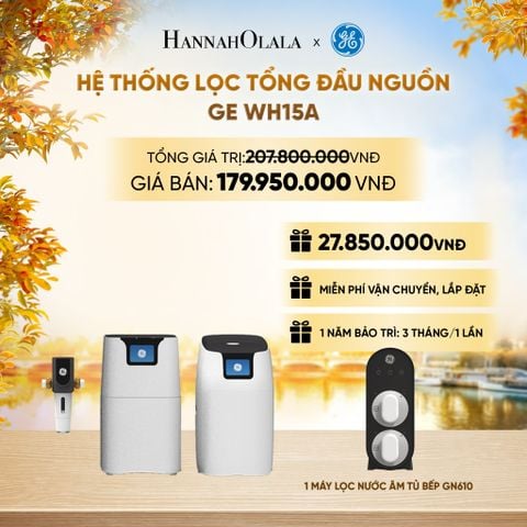  HỆ THỐNG LỌC TỔNG ĐẦU NGUỒN GE WH15A - DEAL 05 - E1877 