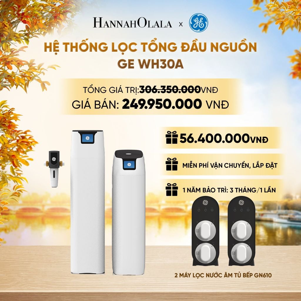  HỆ THỐNG LỌC TỔNG ĐẦU NGUỒN GE WH30A - DEAL 04 - E1876 