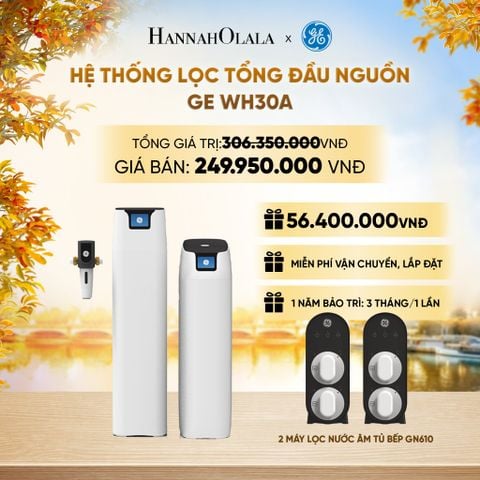  HỆ THỐNG LỌC TỔNG ĐẦU NGUỒN GE WH30A - DEAL 04 - E1876 