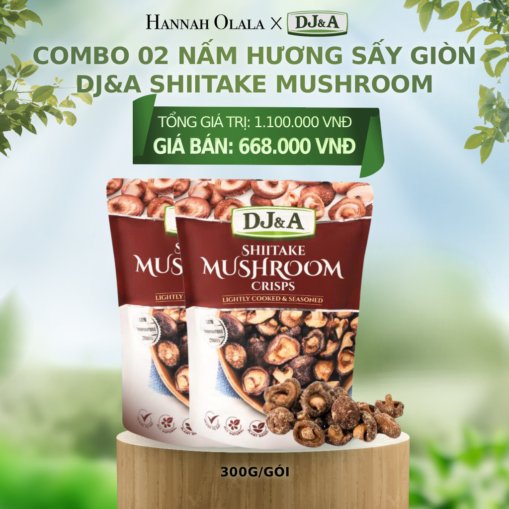  E91_DEAL 2: COMBO 02 NẤM HƯƠNG SẤY GIÒN DJ&A SHIITAKE MUSHROOM CRISPS 300G 