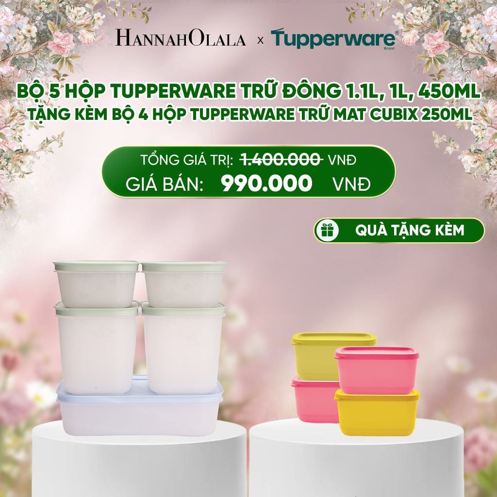  E234_DEAL 28 : BỘ 5 HỘP TUPPERWARE TRỮ ĐÔNG 1.1L, 1L, 450ML - TẶNG KÈM BỘ 4 HỘP TUPPERWARE TRỮ MÁT CUBIX 250ML 