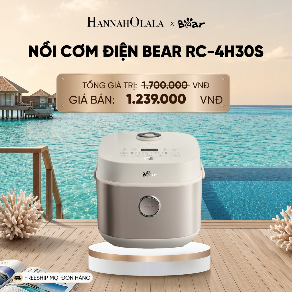  NỒI CƠM ĐIỆN BEAR RC-4H30S_ D688 