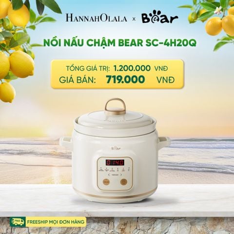  NỒI NẤU CHẬM BEAR SC-4H20Q 