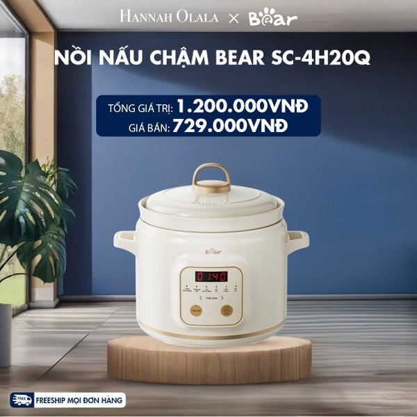  NỒI NẤU CHẬM BEAR SC-4H20Q - H194 