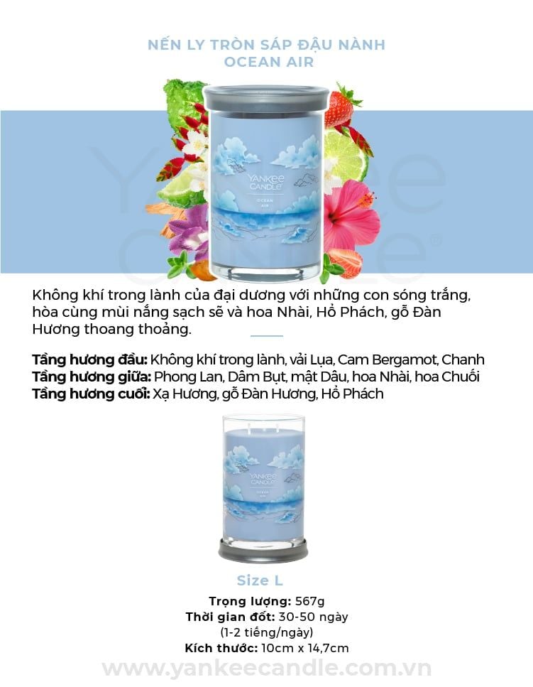  A222_DEAL 4: MUA ĐÈN ĐỐT NẾN HẸN GIỜ 4HOME VÀ NẾN LY TRÒN SÁP ĐẬU NÀNH YANKEE CANDLE SIZE L 