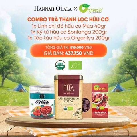  E91_DEAL 6: COMBO TRÀ THANH LỌC HỮU CƠ 1X LINH CHI ĐỎ HỮU CƠ MÙA 40GR 1X KỶ TỬ HỮU CƠ SONLANGA 200GR 1X TÁO TÀU HỮU CƠ ORGANICA 200GR 