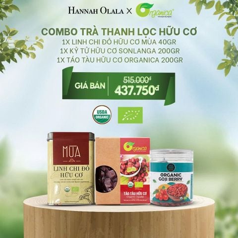  DEAL 10: COMBO TRÀ THANH LỌC HỮU CƠ (LINH CHI ĐỎ HỮU CƠ MÙA 40GR, KỶ TỬ HỮU CƠ SONLANGA 200GR, TÁO TÀU HỮU CƠ ORGANICA 200GR) 