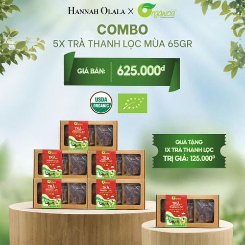  E39_DEAL 3: COMBO 5 TÚI TRÀ THANH LỌC HỮU CƠ MÙA 65GR 