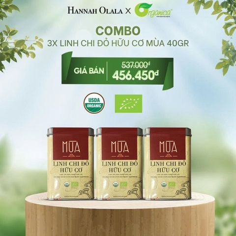  E40_DEAL 4: COMBO 3 TÚI LINH CHI ĐỎ HỮU CƠ MÙA 40GR 