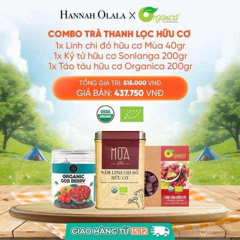  DEAL 6: [GIAO HÀNG TỪ 15/12] COMBO TRÀ THANH LỌC HỮU CƠ 1X LINH CHI ĐỎ HỮU CƠ MÙA 40GR 1X KỶ TỬ HỮU CƠ SONLANGA 200GR 1X TÁO TÀU HỮU CƠ ORGANICA 200GR 