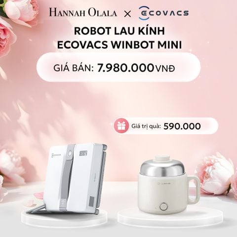  E268: DEAL 10: ROBOT LAU KÍNH ECOVACS WINBOT MINI 